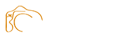 ChambinoWedding
